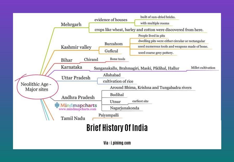 brief history of india