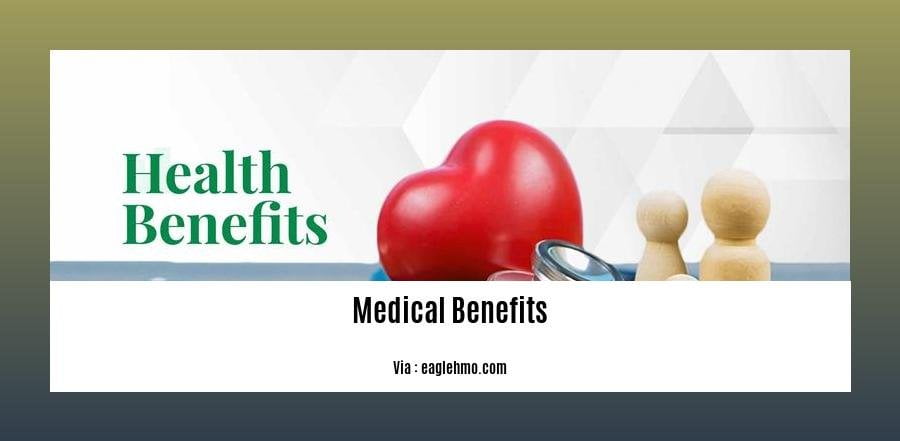 can a veteran s spouse get medical benefits