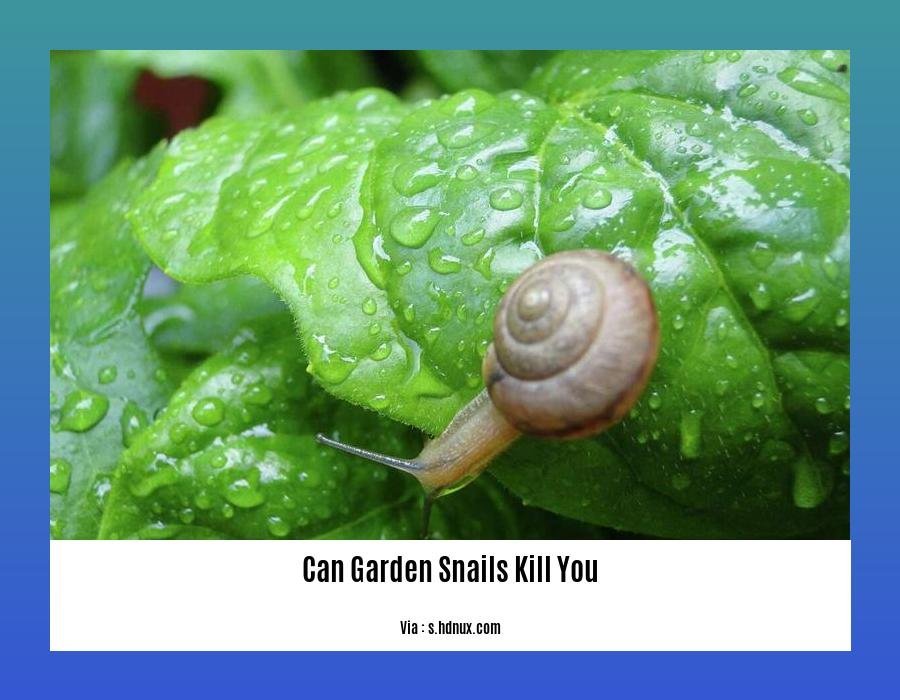 can garden snails kill you