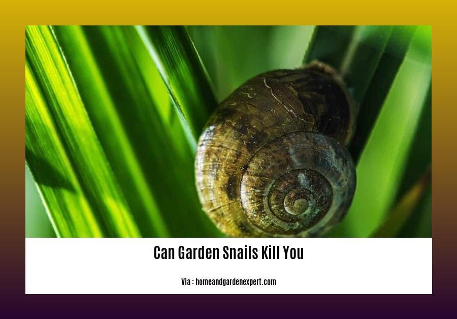 can garden snails kill you 2