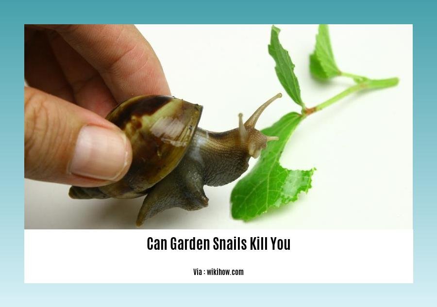 can garden snails kill you