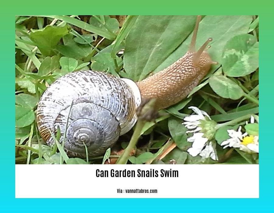 can garden snails swim