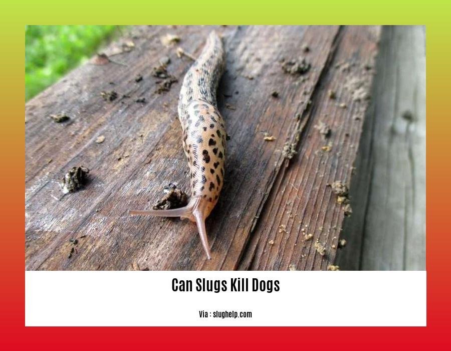can slugs kill dogs