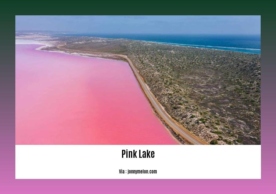 can u swim in the pink lake 2