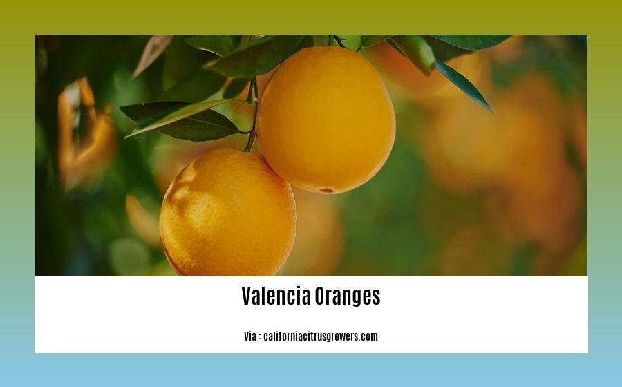 can you eat valencia oranges