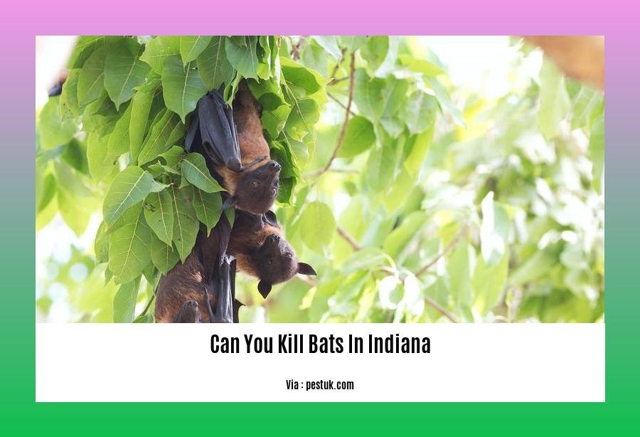 can you kill bats in indiana