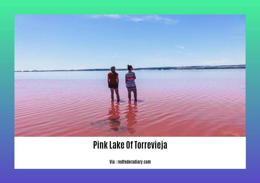 can you swim in the pink lake of torrevieja 2