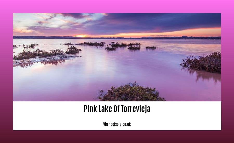 can you swim in the pink lake of torrevieja