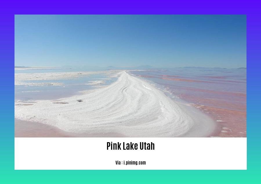 can you swim in the pink lake utah