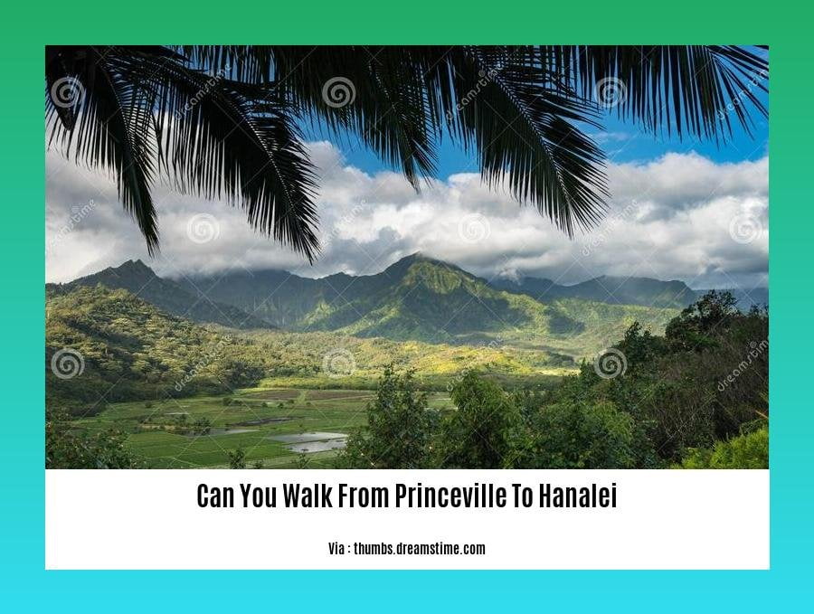 can you walk from princeville to hanalei