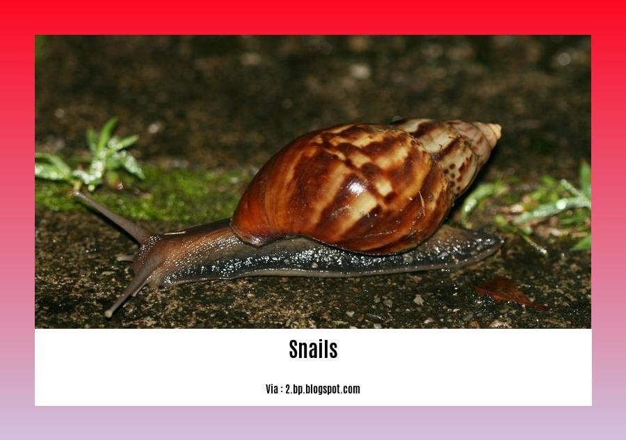 dogs eating slugs and snails