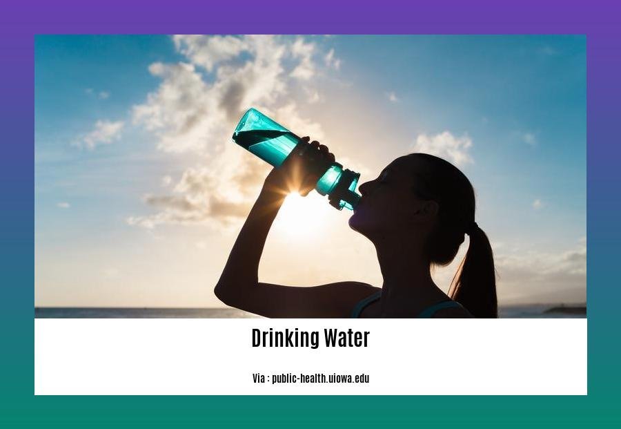 drinking water fun facts