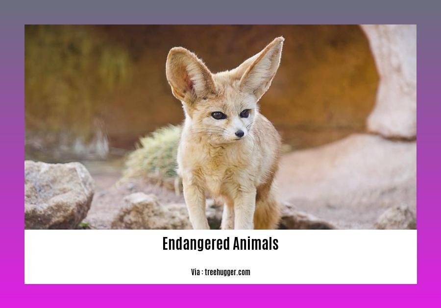 endangered animals and birds in india
