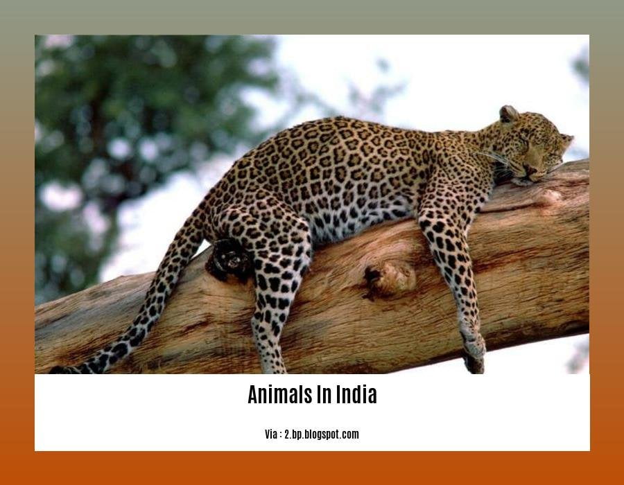 endangered animals in india 2