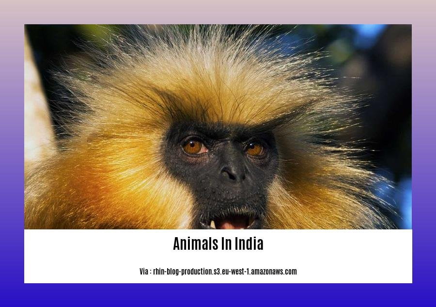 endangered animals in india