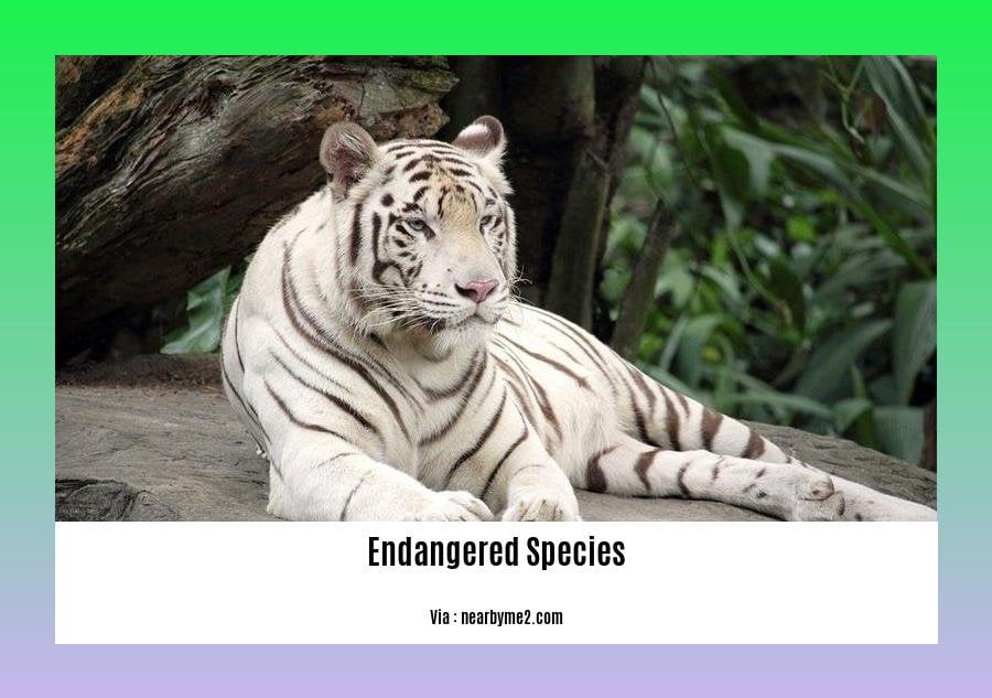 endangered species in meghalaya 2
