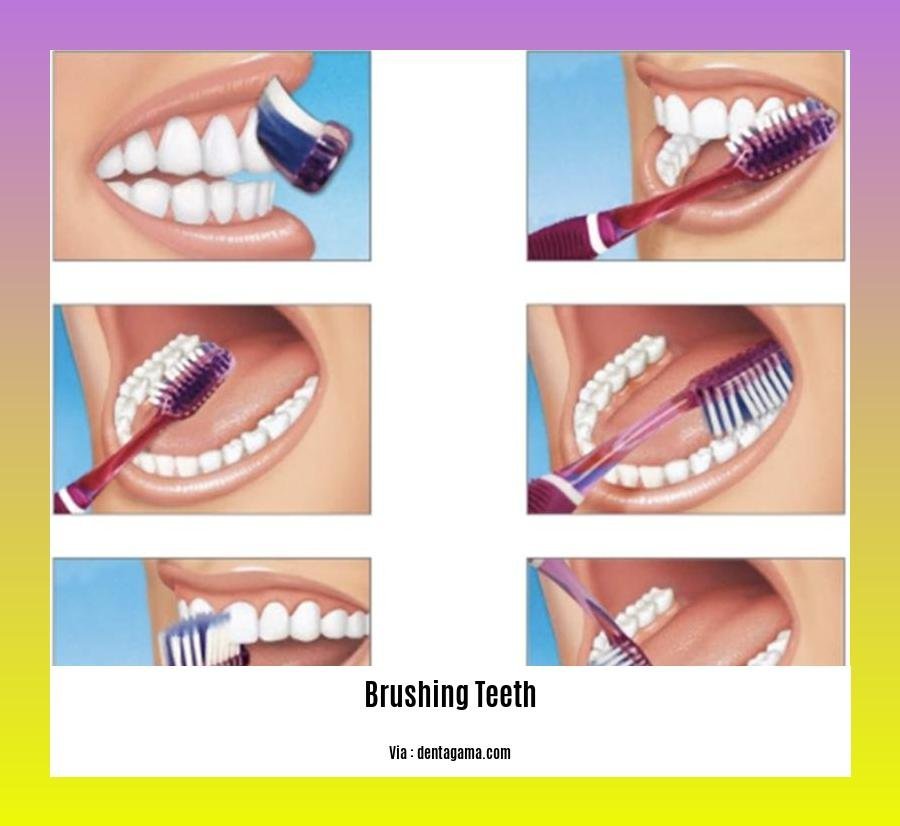 facts about brushing teeth