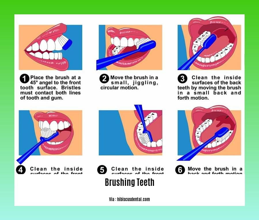 facts about brushing teeth 2