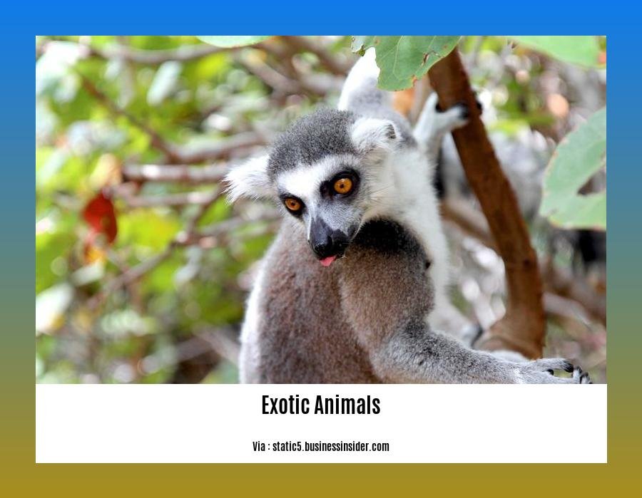 facts about exotic animals