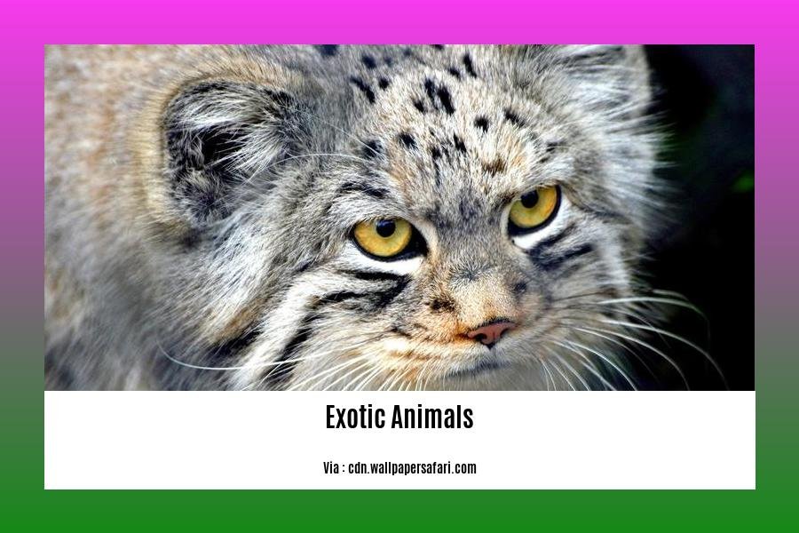 facts about exotic animals 2
