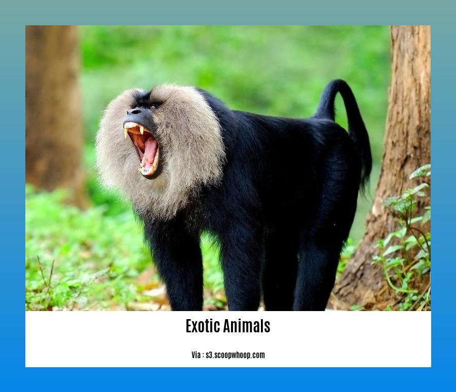 facts about exotic animals