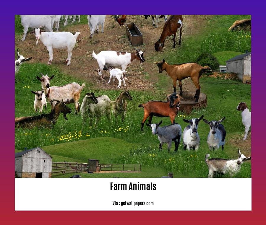 discover-fascinating-facts-about-farm-animals-understanding-their