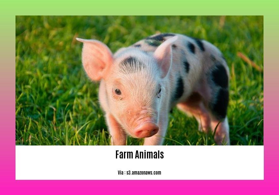 discover-fascinating-facts-about-farm-animals-understanding-their