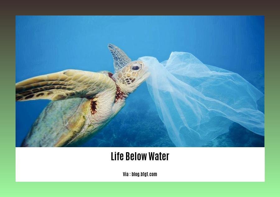 facts about life below water