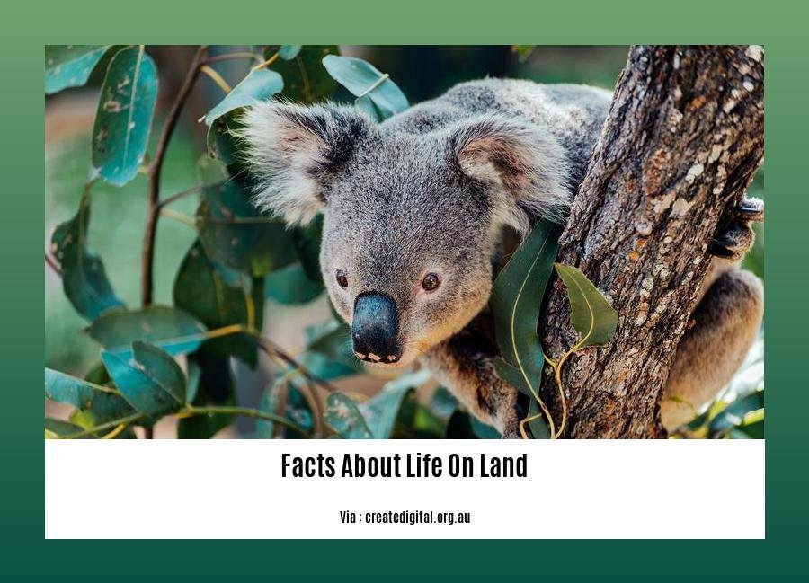 facts about life on land