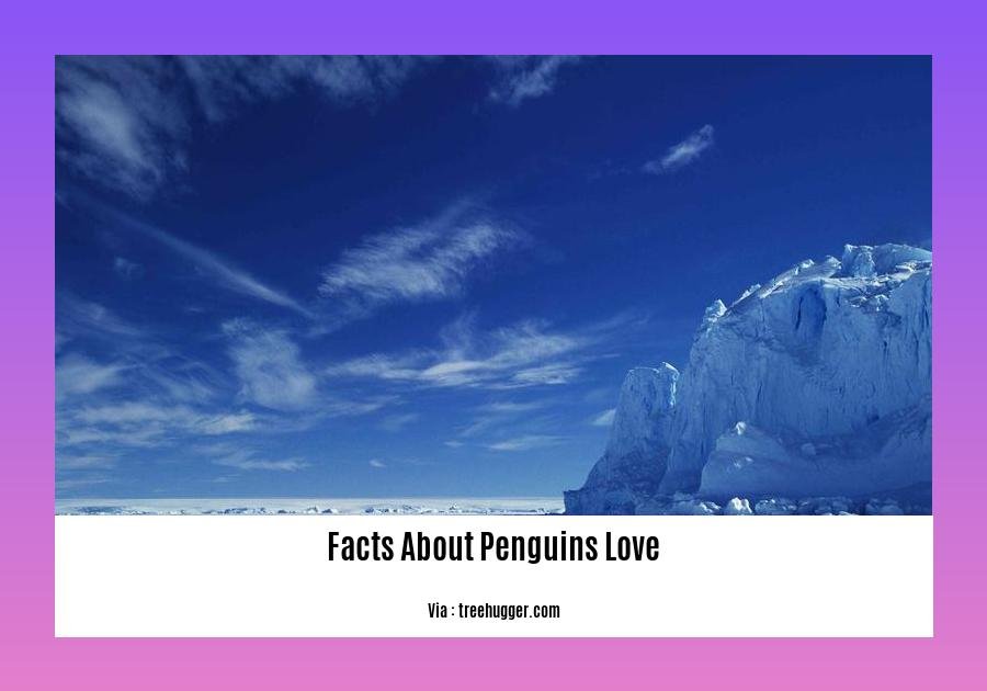 facts about penguins love 2