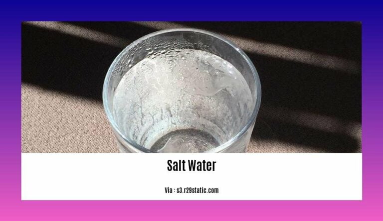 Facts About Salt Water Pools Debunking Misconceptions And Providing Key Insights For A Hassle