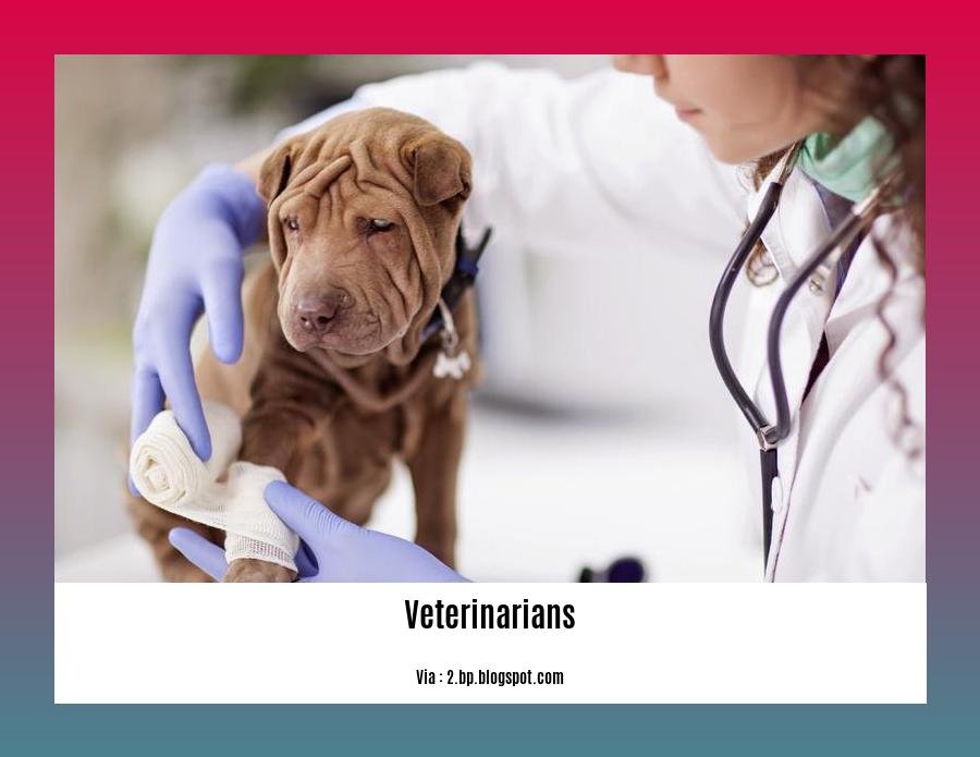 facts about veterinarians