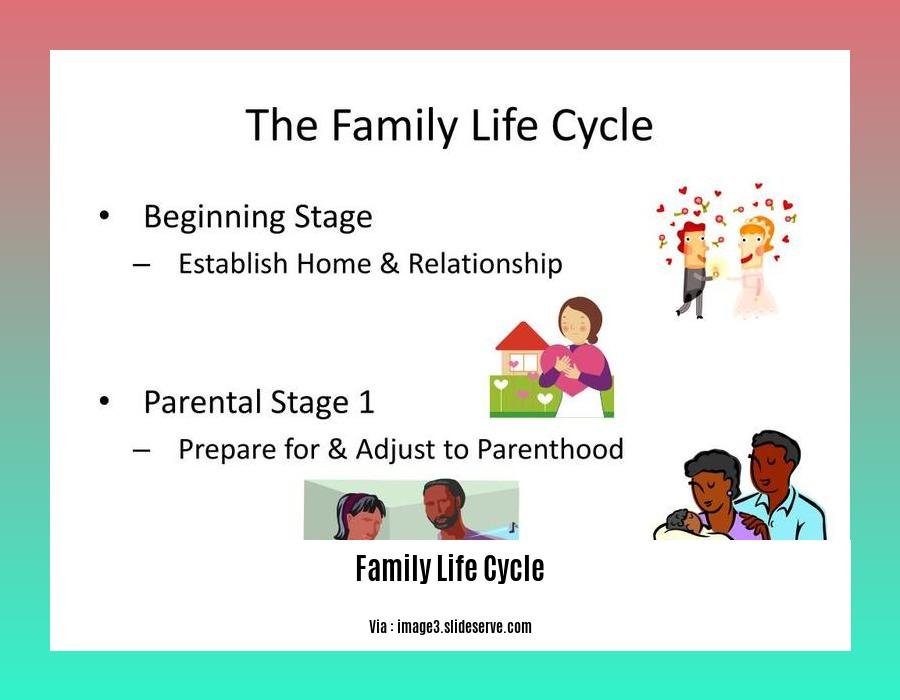 family life cycle stages in consumer behaviour 2