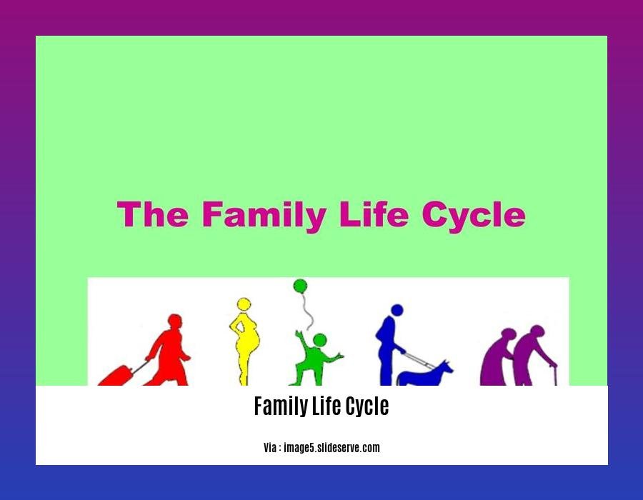 family life cycle stages in consumer behaviour