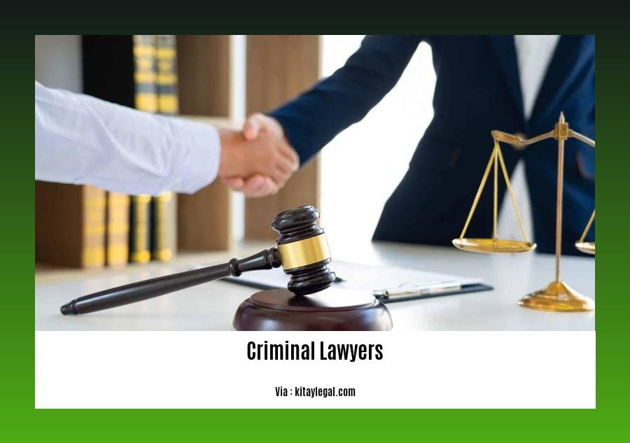 famous criminal lawyers in bangalore