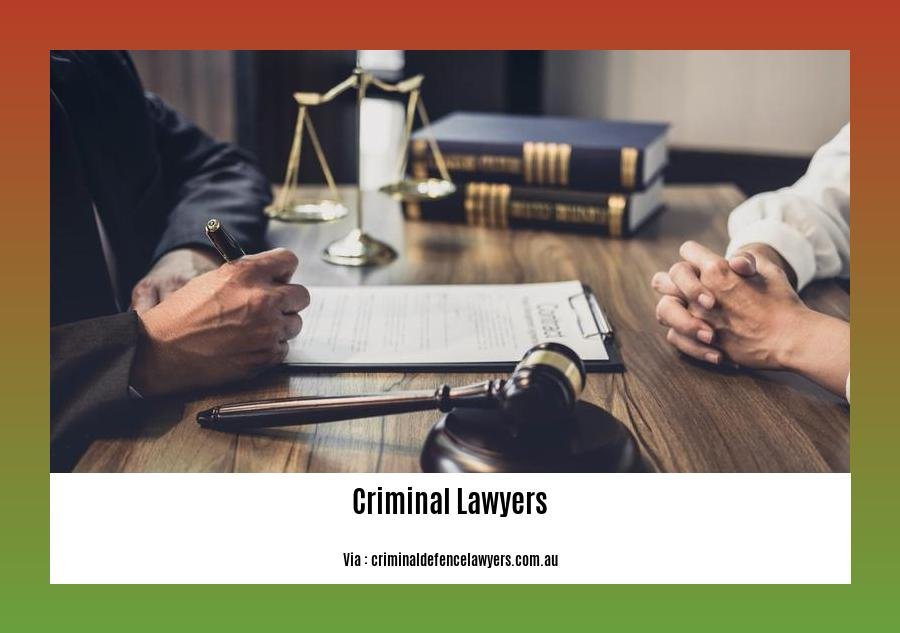 famous criminal lawyers in bangalore 2