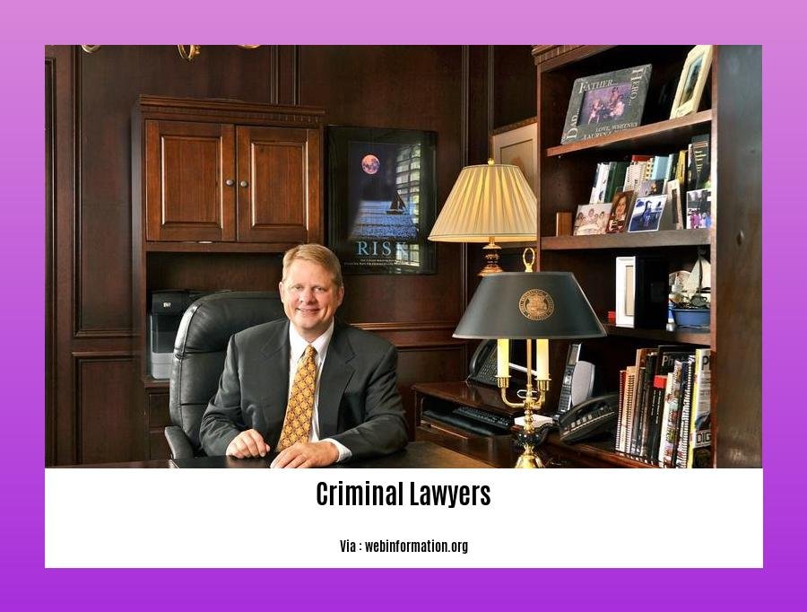 famous criminal lawyers in bangalore