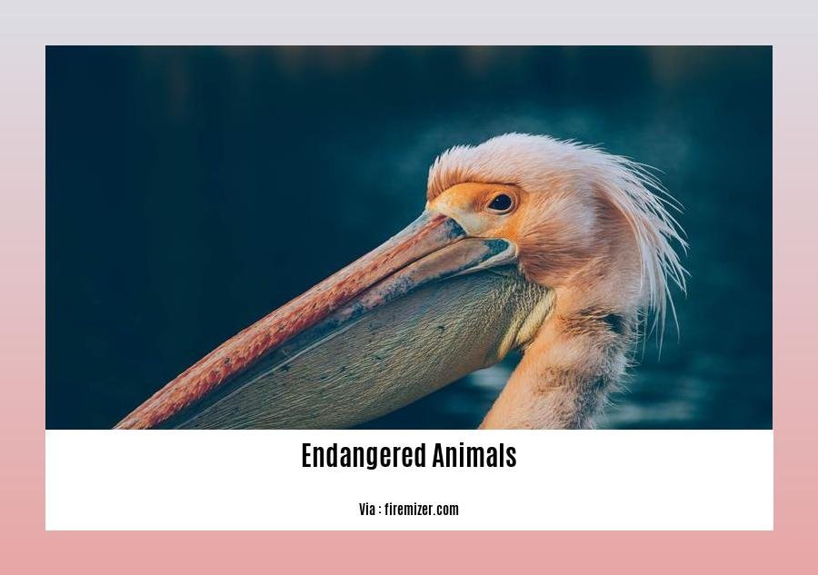 few sentences about endangered animals
