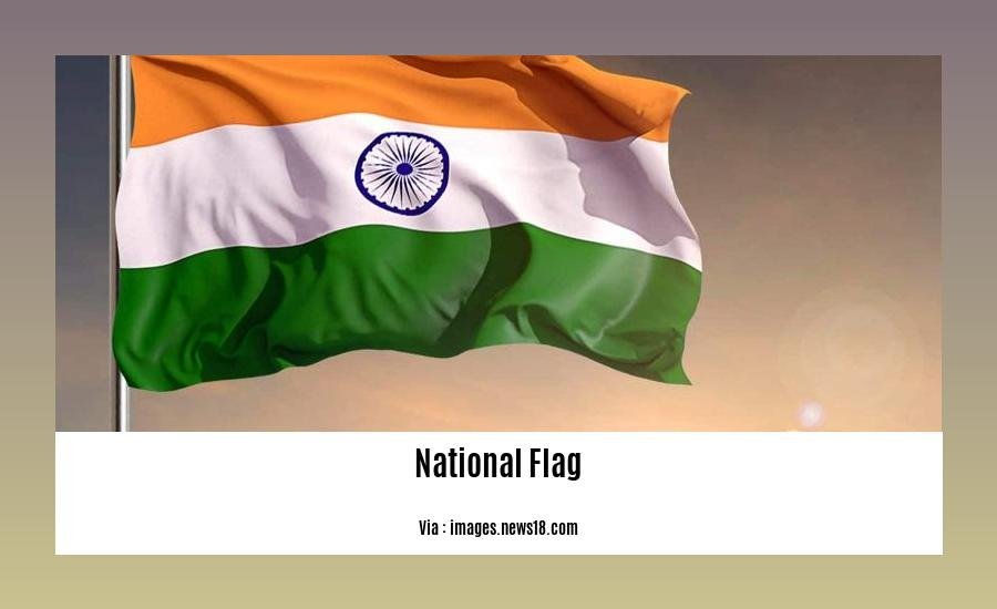 unveiling-the-significance-five-sentences-about-national-flags