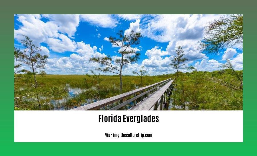 fun facts about Florida Everglades 2
