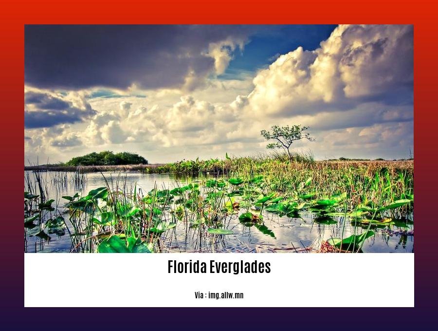 fun facts about Florida Everglades