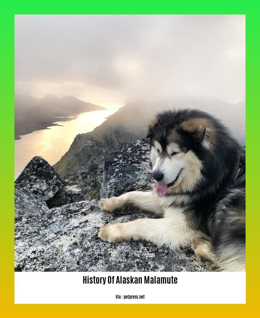 history of alaskan malamute