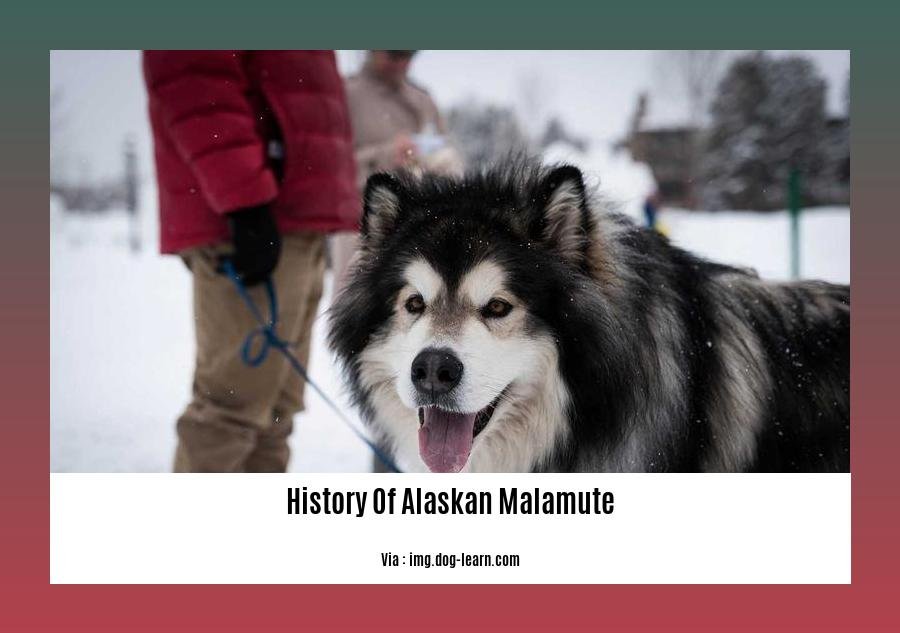 history of alaskan malamute 2