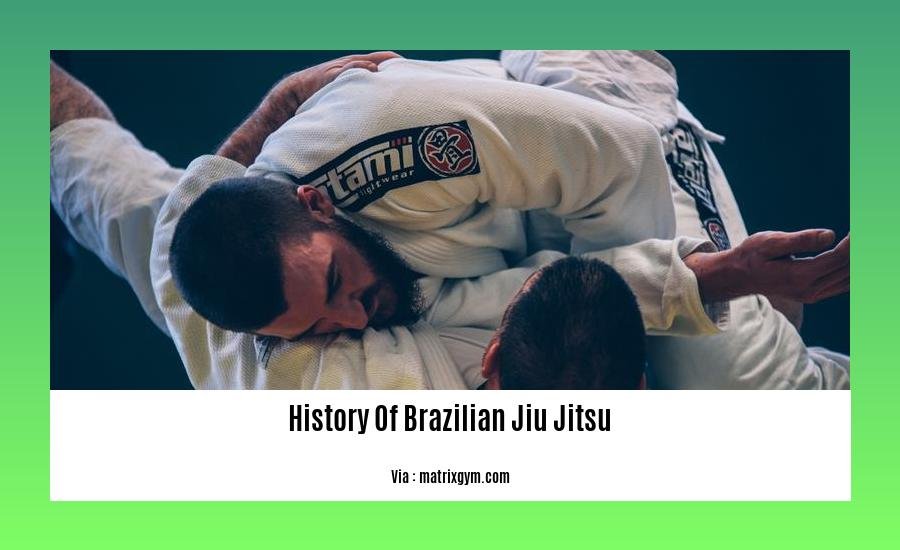 history of brazilian jiu jitsu