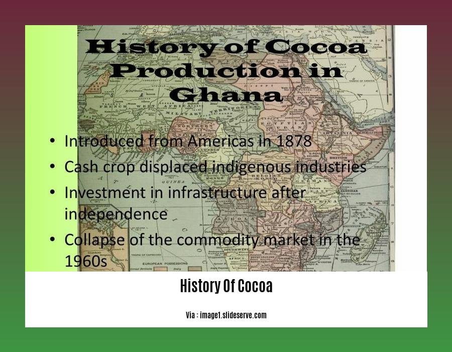 history of cocoa essay