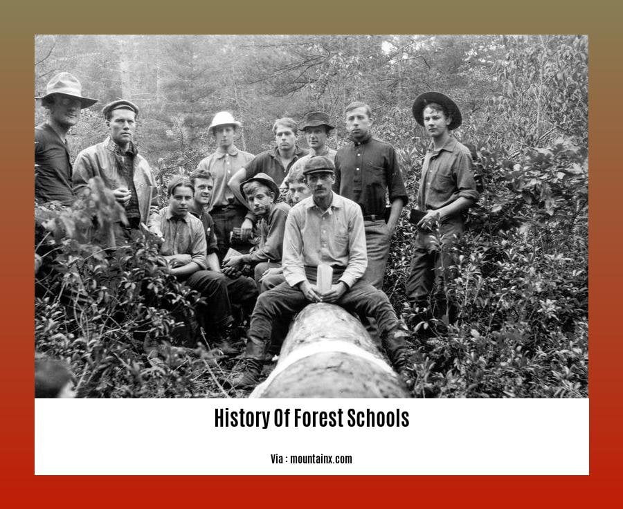 A History of Forest Schools: The Pioneering Movement in Nature-Based ...