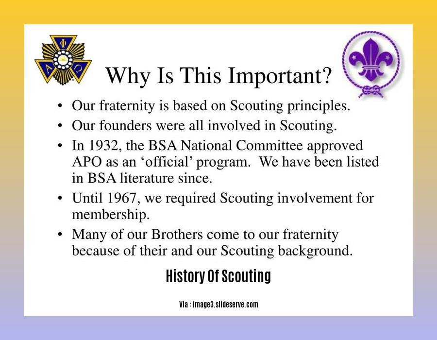 history of scouting 2