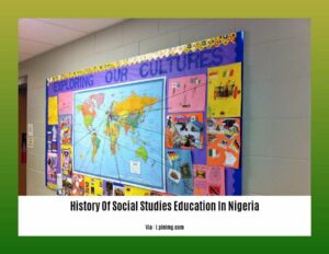 the history of nigerian social studies education