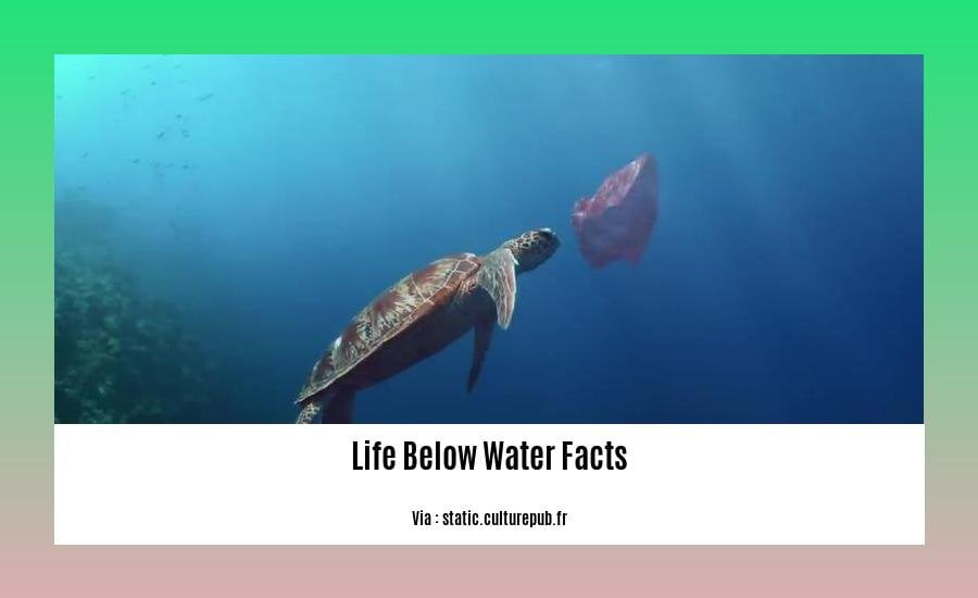 Exploring the Enigmatic Realm: Unveiling Life Below Water Facts