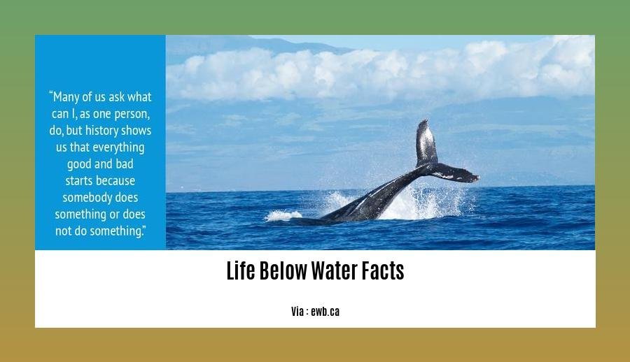 Exploring the Enigmatic Realm: Unveiling Life Below Water Facts